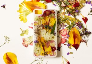 coque Iphone fleurs séchées